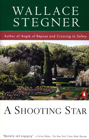A Shooting Star by Wallace Stegner
