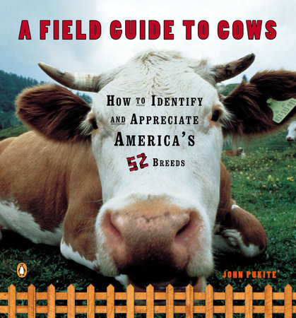 A Field Guide to Cows by John Pukite