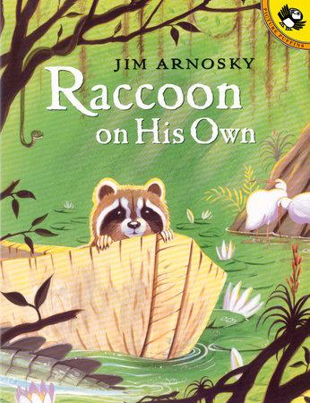 Raccoon On His Own by Jim Arnosky