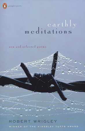 Earthly Meditations by Robert Wrigley