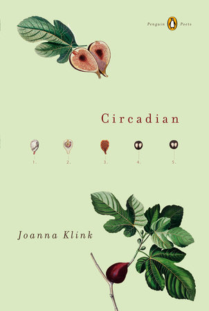 Circadian by Joanna Klink
