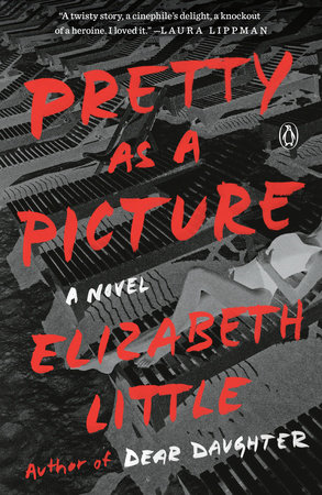 Pretty as a Picture by Elizabeth Little