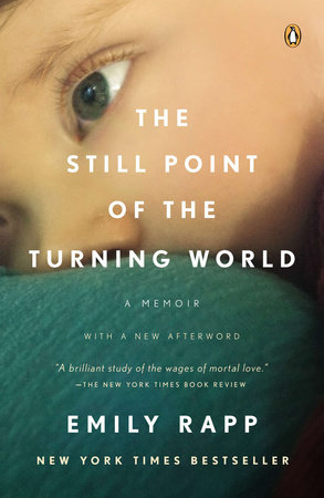 The Still Point of the Turning World by Emily Rapp Black