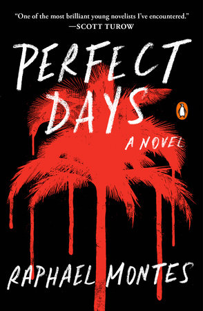 Perfect Days by Raphael Montes