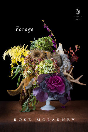 Forage by Rose McLarney