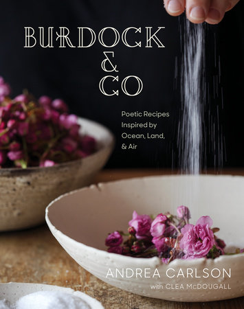 Burdock & Co by Andrea Carlson