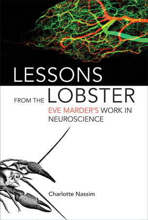 Lessons from the Lobster by Charlotte Nassim