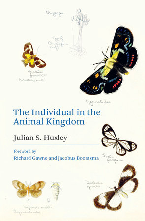 The Individual in the Animal Kingdom by Julian S. Huxley
