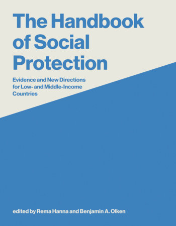 The Handbook of Social Protection by 