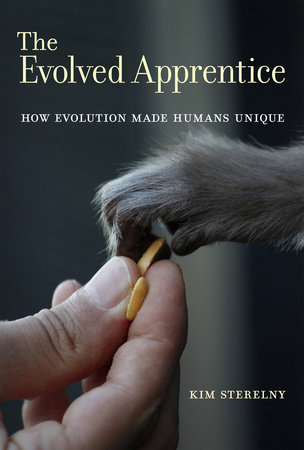 The Evolved Apprentice by Kim Sterelny