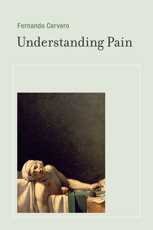 Understanding Pain by Fernando Cervero