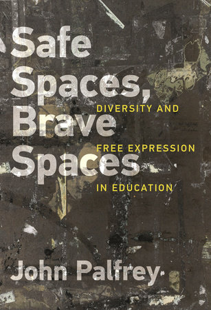 Safe Spaces, Brave Spaces by John Palfrey