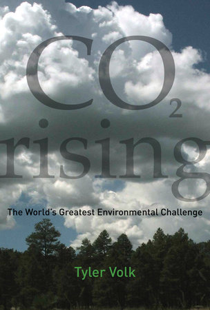 CO2 Rising by Tyler Volk
