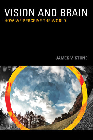 Vision and Brain by James V. Stone