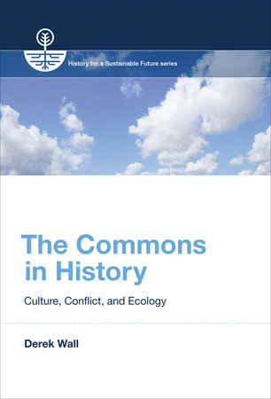 The Commons in History by Derek Wall