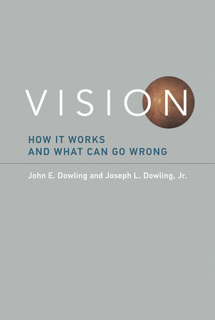 Vision by John E. Dowling and Joseph L. Dowling, Jr.