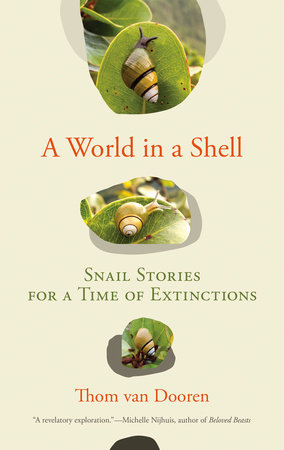 A World in a Shell by Thom van Dooren
