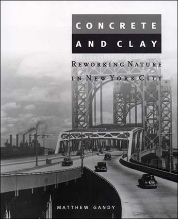 Concrete and Clay by Matthew Gandy