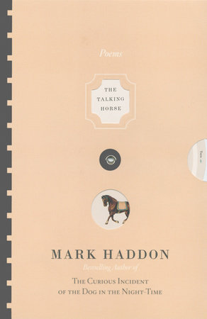 The Talking Horse and the Sad Girl and the Village Under the Sea by Mark Haddon