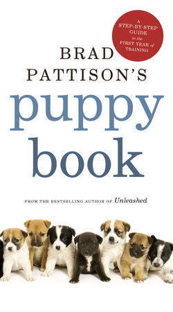 Brad Pattison's Puppy Book by Brad Pattison