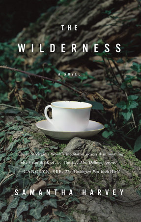 The Wilderness by Samantha Harvey