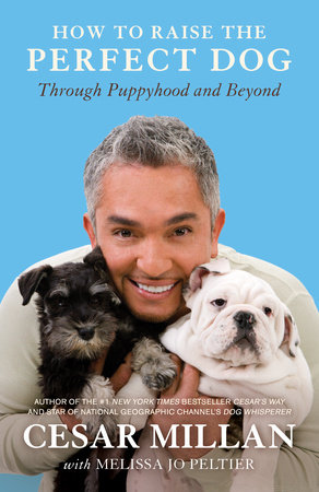 How to Raise the Perfect Dog by Cesar Millan and Melissa Jo Peltier