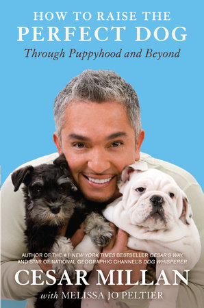 How to Raise the Perfect Dog by Cesar Millan and Melissa Jo Peltier