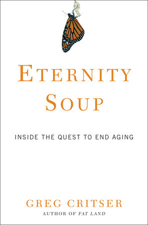 Eternity Soup by Greg Critser
