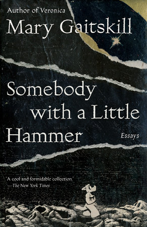 Somebody with a Little Hammer by Mary Gaitskill