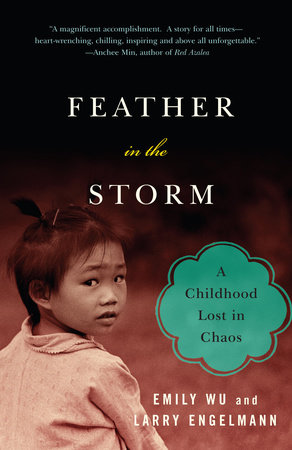 Feather in the Storm by Emily Wu and Larry Engelmann