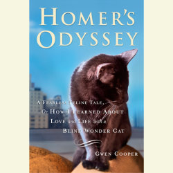 Homer's Odyssey