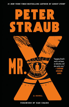 Mr. X by Peter Straub