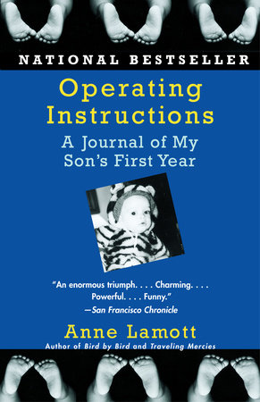 Operating Instructions by Anne Lamott