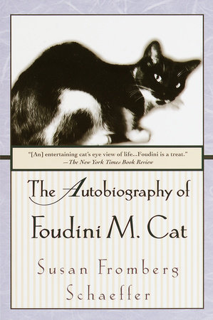 The Autobiography of Foudini M. Cat by Susan Fromberg Schaeffer