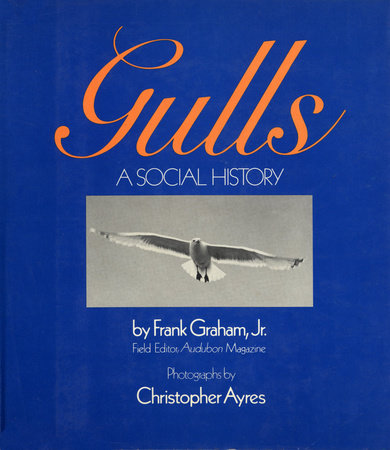 Gulls by Frank Graham