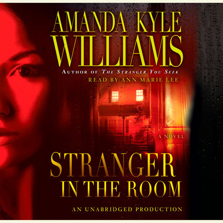 Stranger in the Room by Amanda Kyle Williams