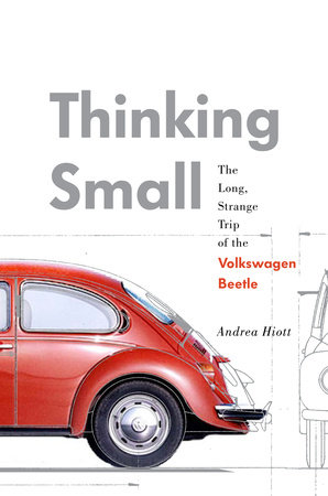 Thinking Small by Andrea Hiott