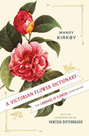 A Victorian Flower Dictionary by Mandy Kirkby