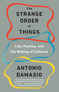 Antonio Damasio  Feeling & Knowing: Making Minds Conscious 