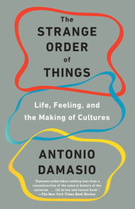 Antonio Damasio and Anil Seth, Activities