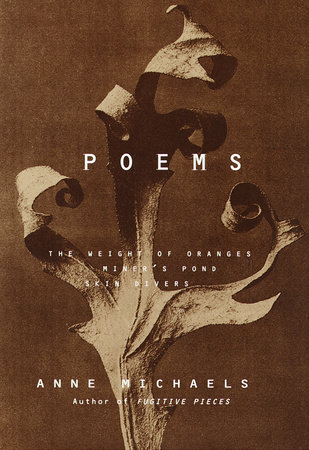 Poems by Anne Michaels