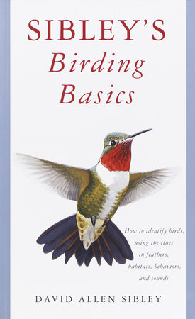 Sibley's Birding Basics by David Allen Sibley