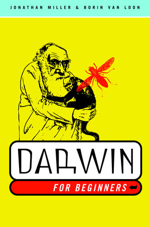 Darwin for Beginners by Jonathan Miller and Borin Van Loon
