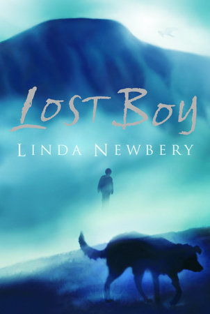 Lost Boy by Linda Newbery