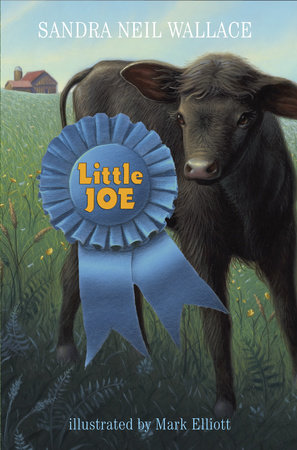 Little Joe by Sandra Neil Wallace