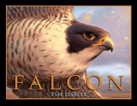 Falcon by Tim Jessell