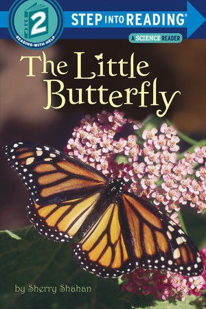The Little Butterfly by Sherry Shahan