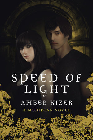 Speed of Light by Amber Kizer
