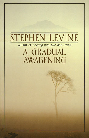 A Gradual Awakening by Stephen Levine