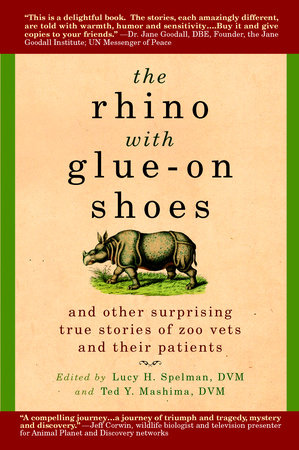 The Rhino with Glue-On Shoes by 